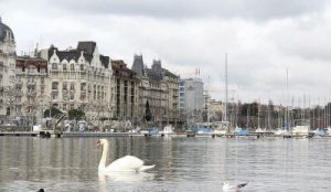 Genève avec lac Léman, appartements et bateaux amarrés. Swan nage sur le lac.
